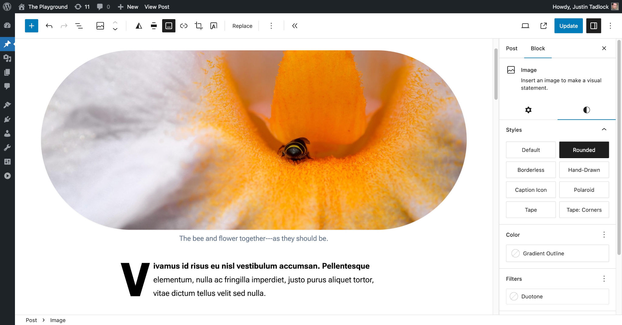 WordPress post editor showing an Image block with a rounded style in the content canvas.