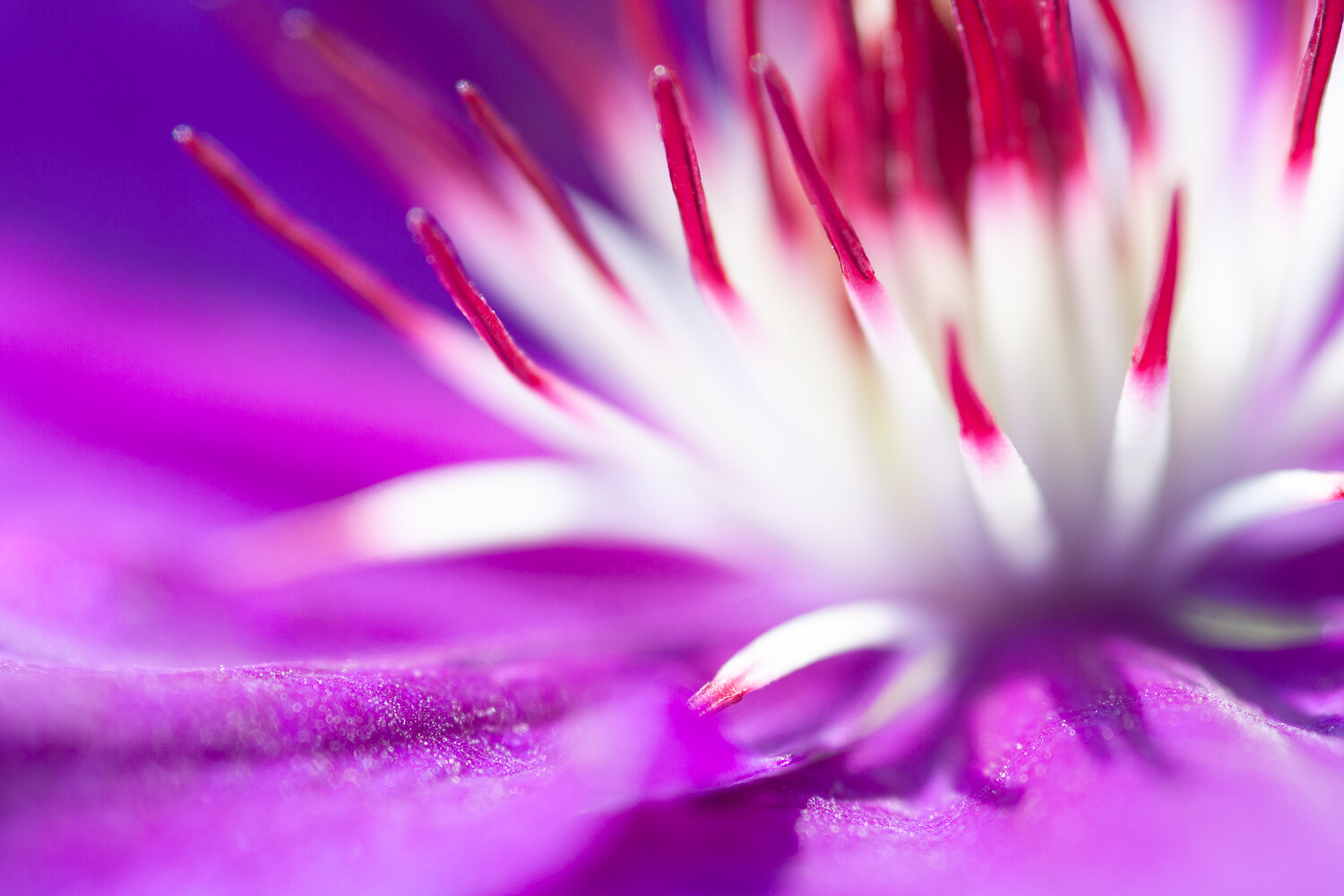 5 Things I Wish I D Known Before Starting Nature Photography