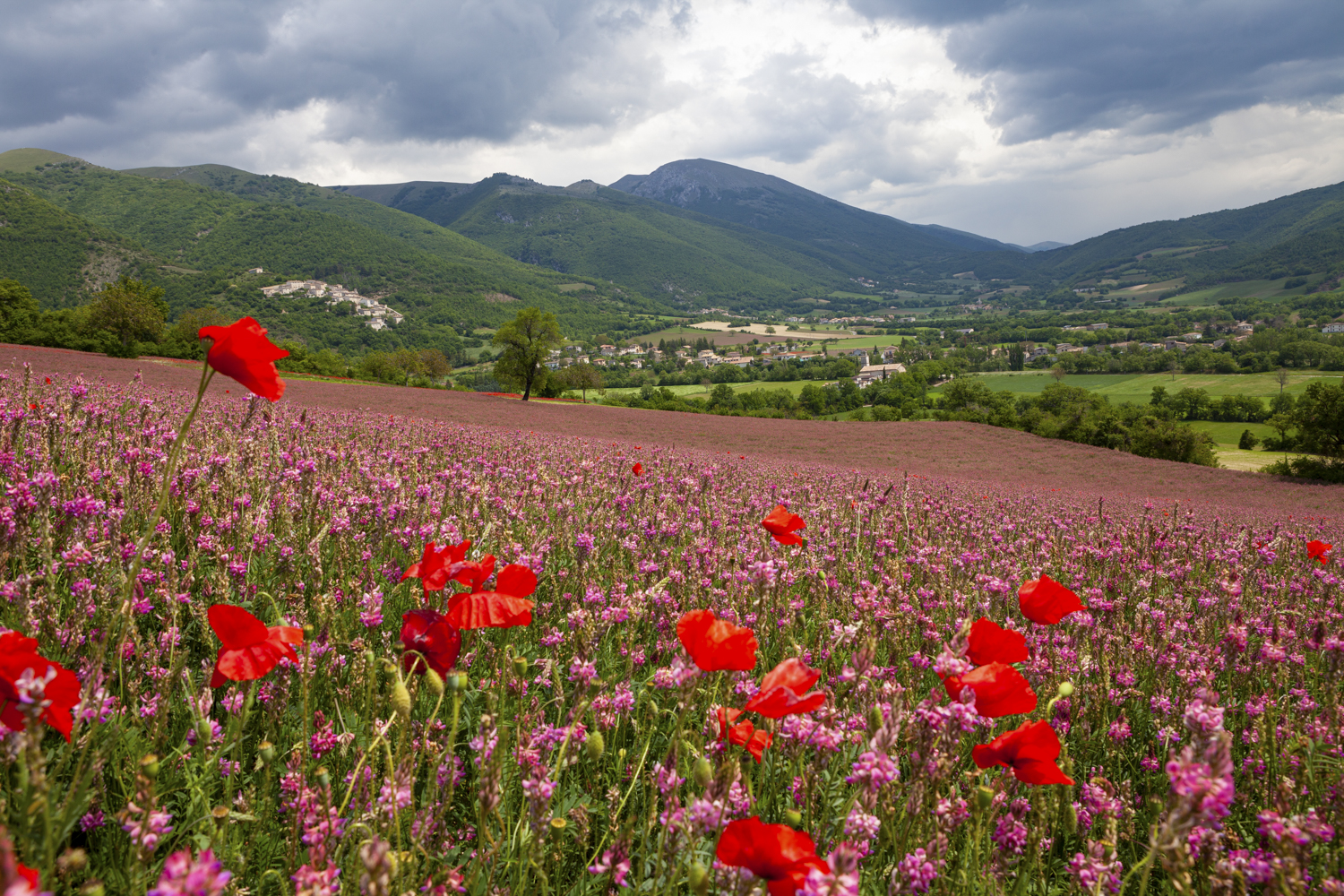 15 Summer Landscape Photography Tips (+ Examples)