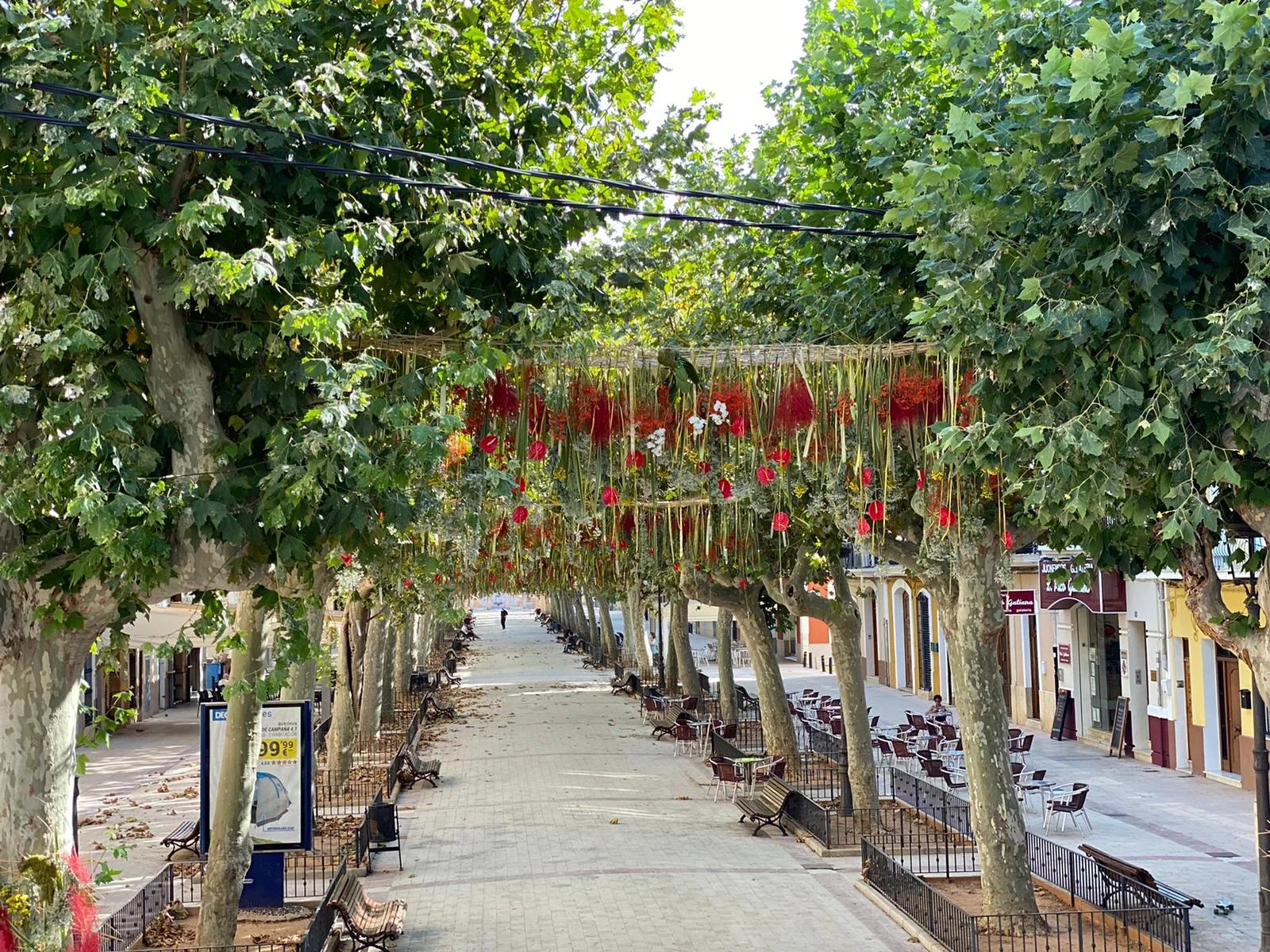 Los floristas recuperan la primavera decorando 20 municipios valencianos con ayuda de la Diputació 7 Carcaixent 1