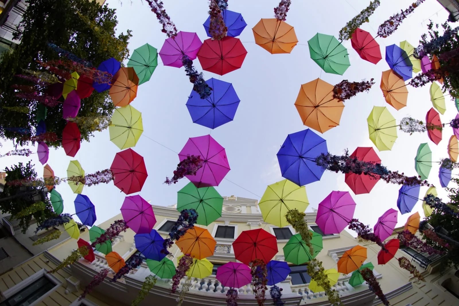 Los floristas recuperan la primavera decorando 20 municipios valencianos con ayuda de la Diputació 13 Godella 4