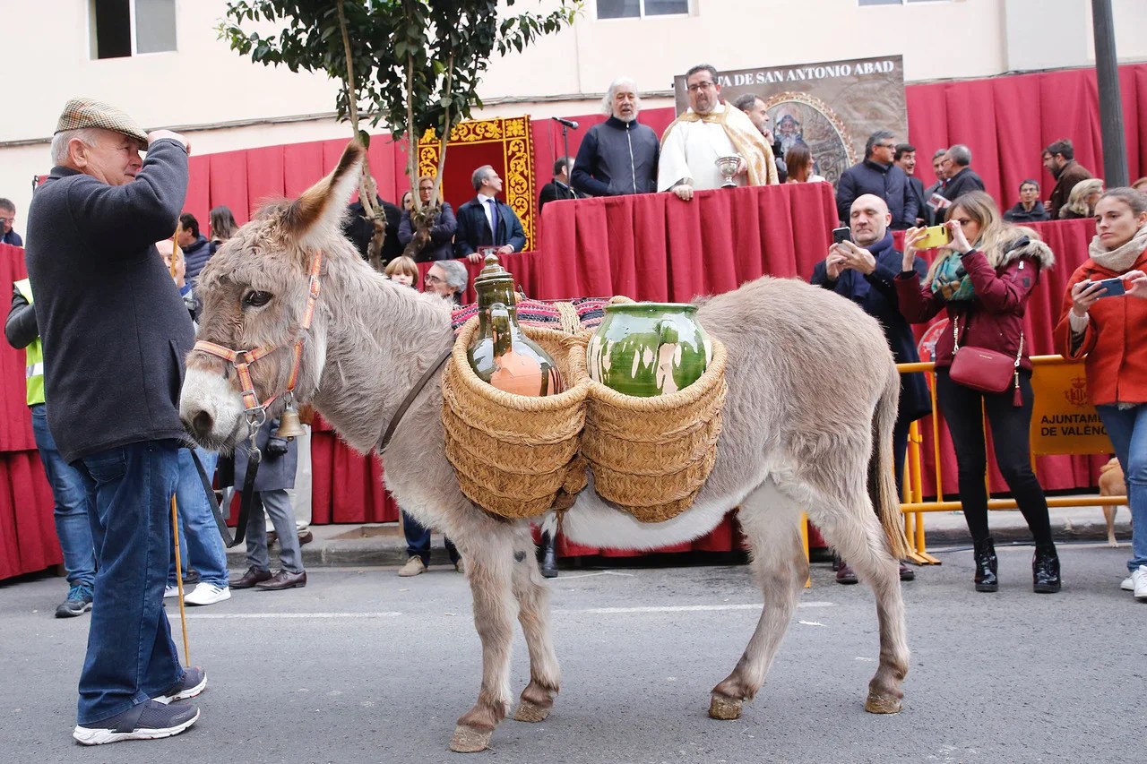 La Hermandad de San Antonio Abad traslada excepcionalmente la celebración al domingo 16 de enero de 2022 1 burrito2