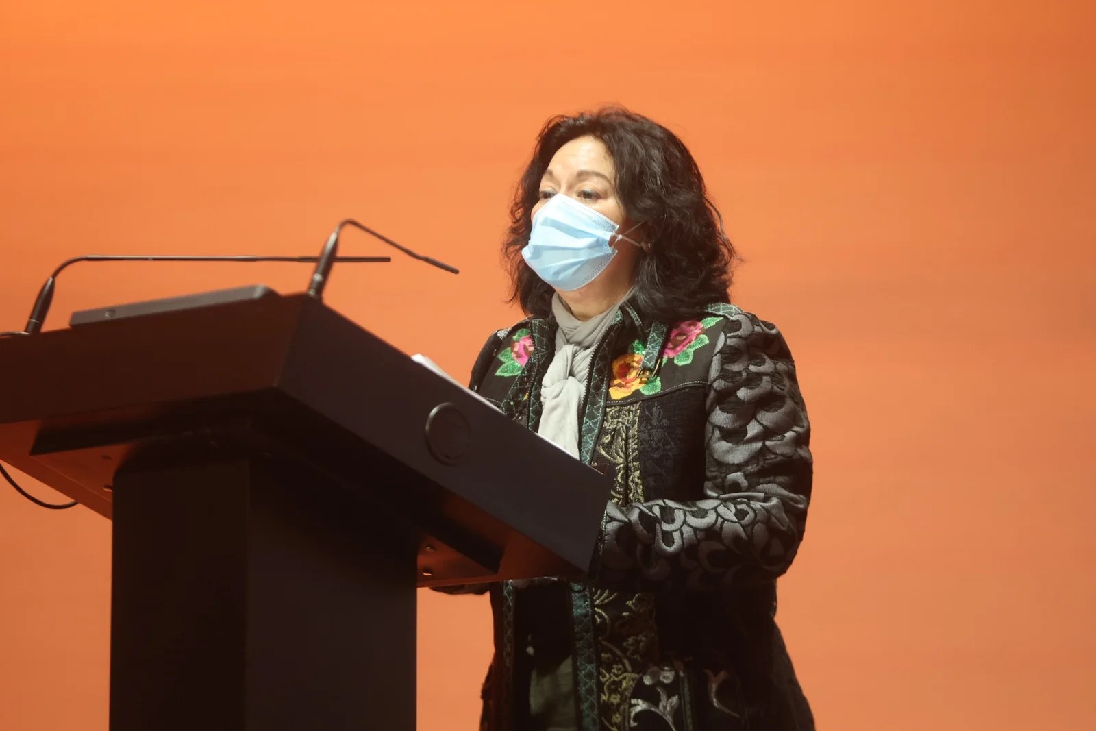 El Llibre Faller 2022 renace de la llama con un monográfico dedicado a València Capital Mundial del Diseño 3 image00016 2