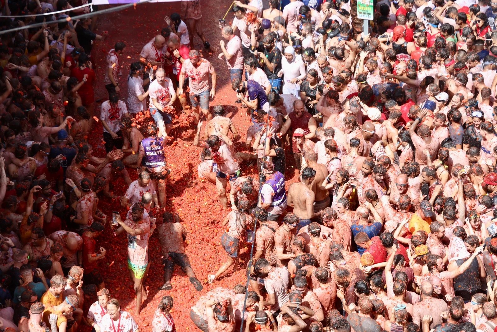 La Falleras Mayores de València invitadas de honor en la Tomatina de Buñol 1 094A9697