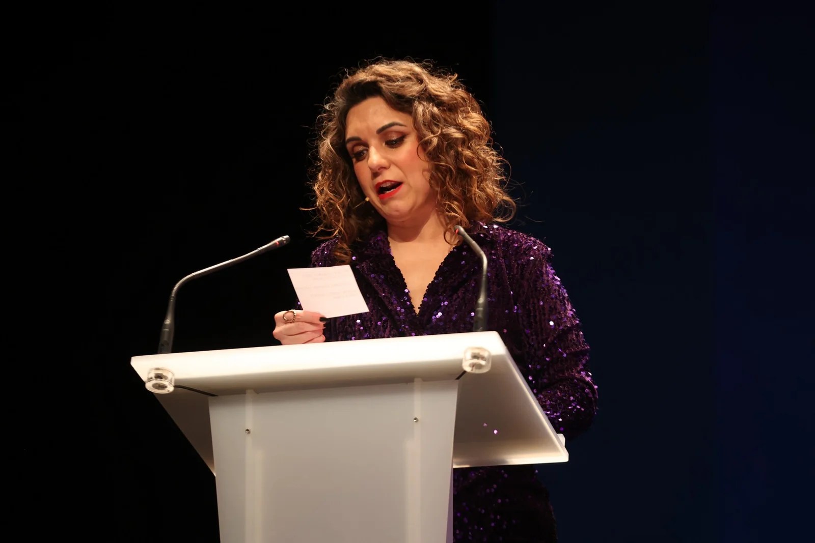 Els Saragüells reconeixen el millor Teatre Faller a la Gala de la Cultura 20 K66A9321