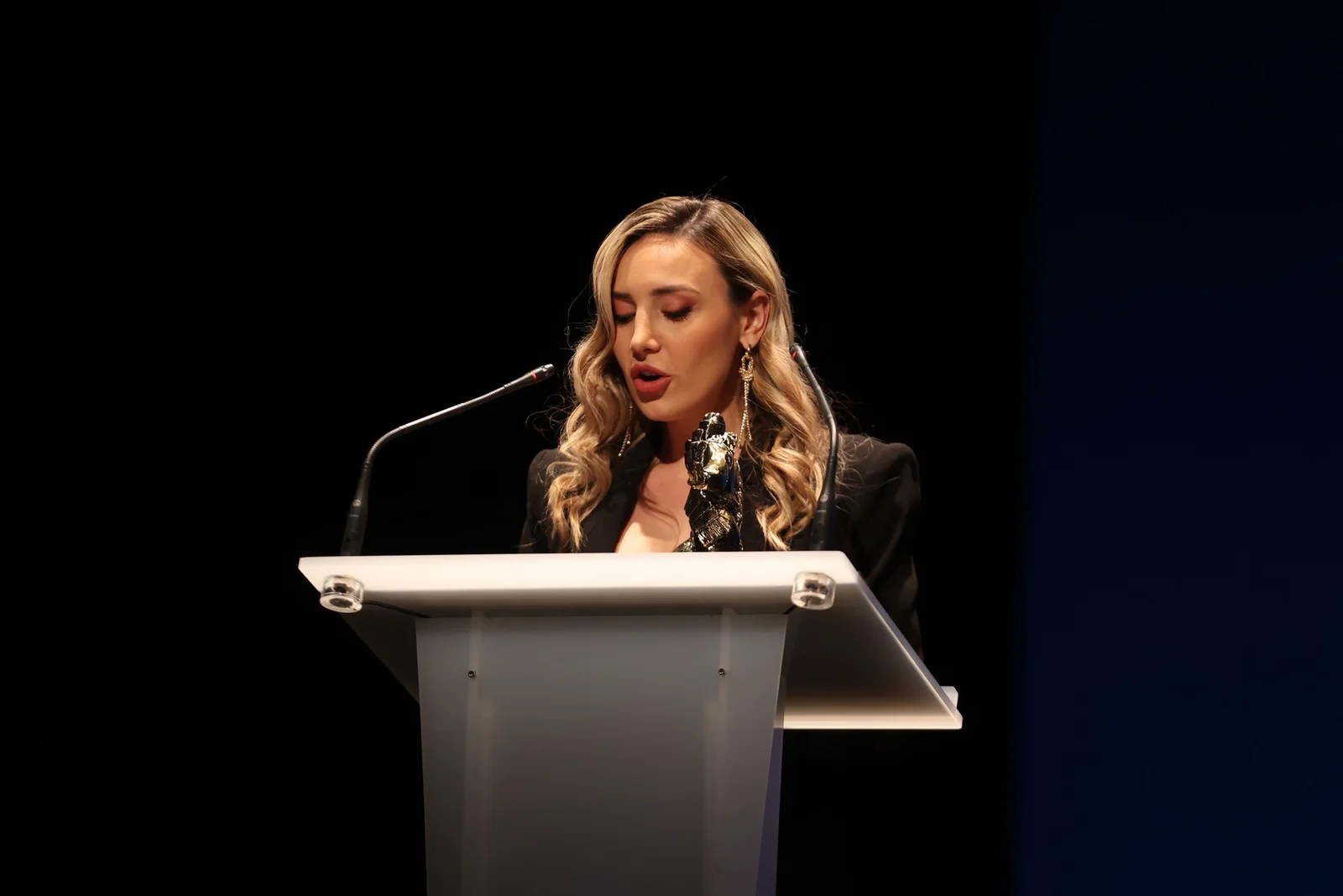 Els Saragüells reconeixen el millor Teatre Faller a la Gala de la Cultura 49 K66A9474