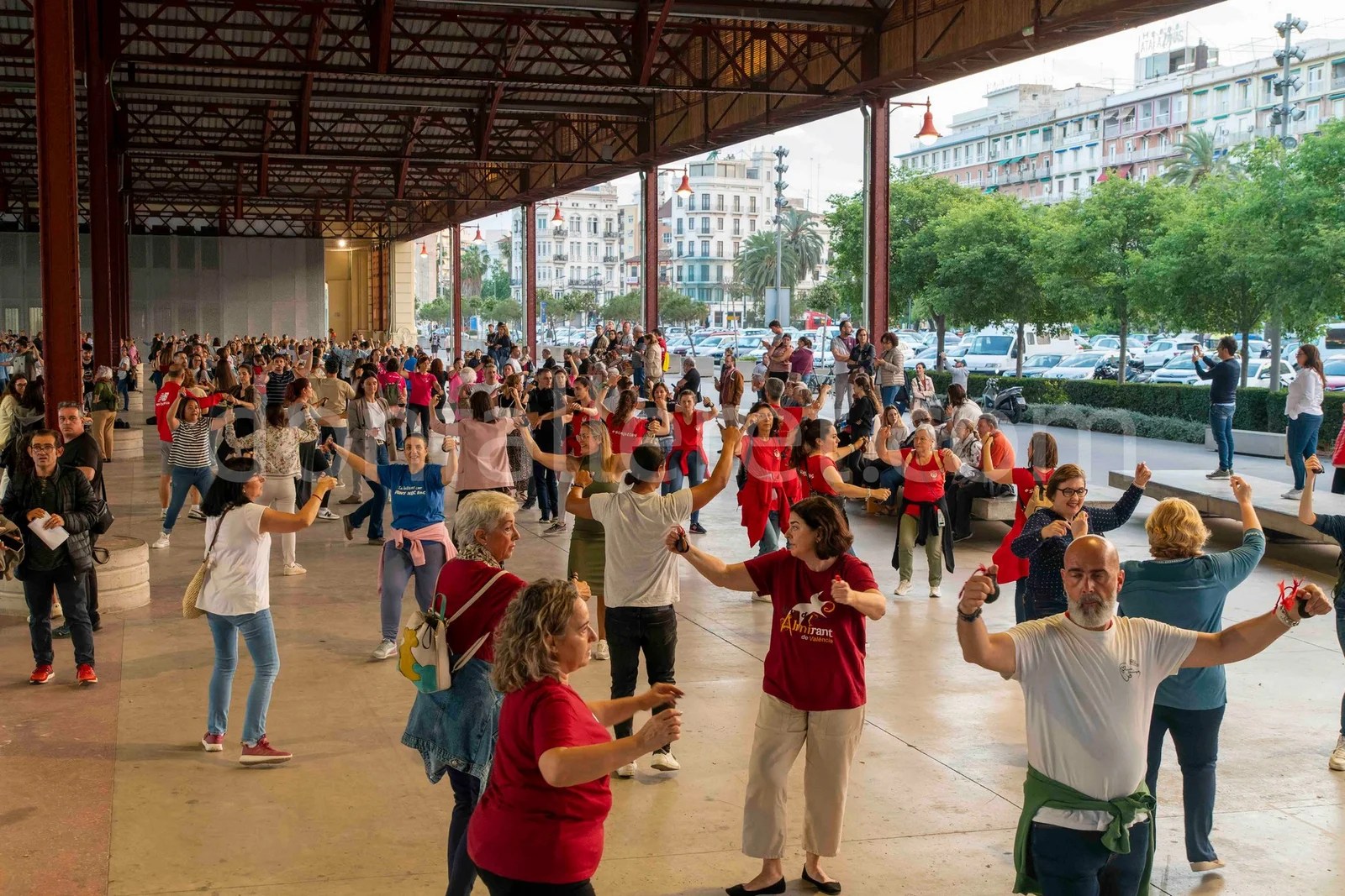 Ensayo_Dansa_Virgen48
