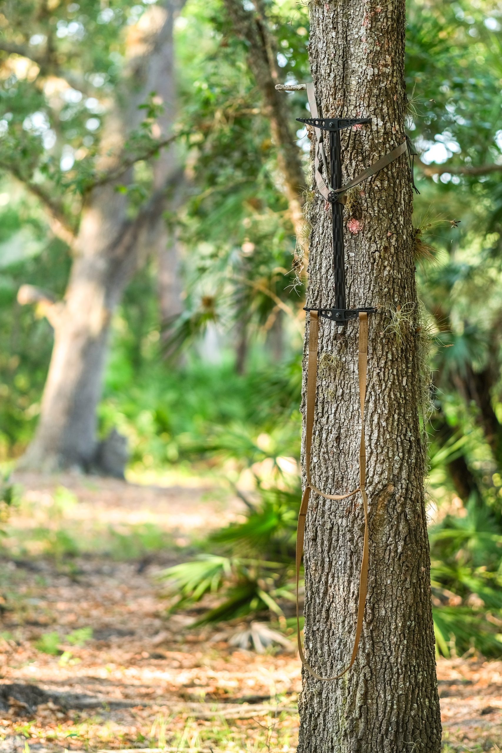 Ewo Ultralight Climbing Stick Eastern Woods Outdoors