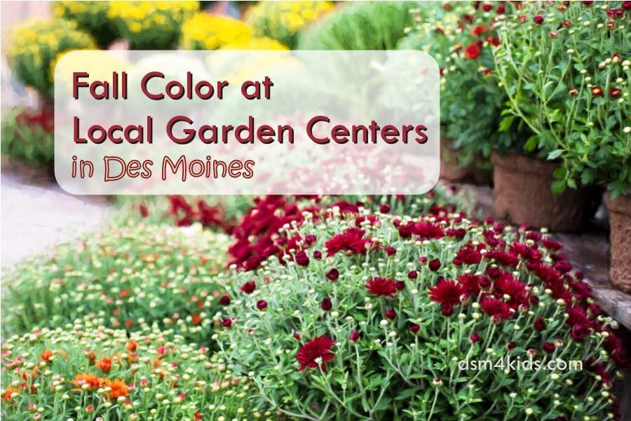 Fall Color At Local Garden Centers In Des Moines Dsm4kids