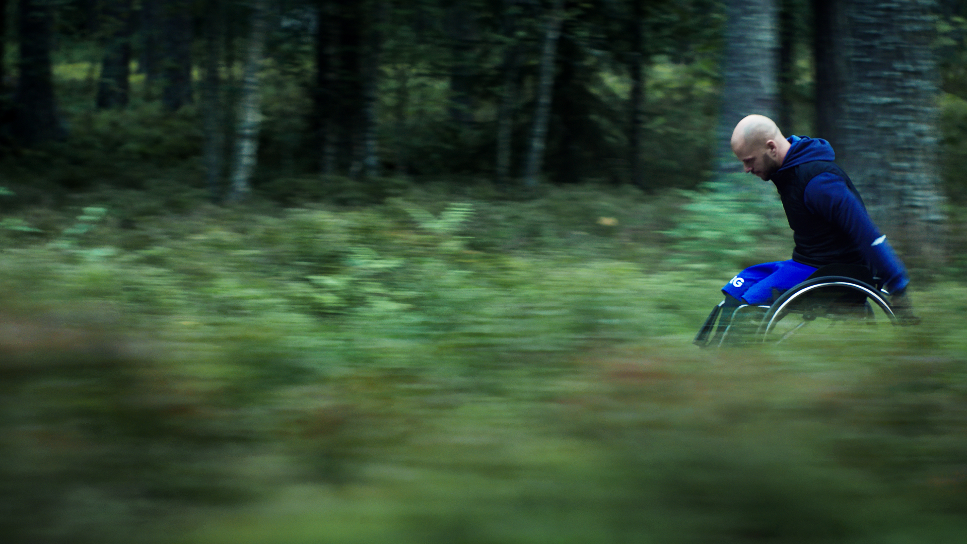 Stefan Borg Gift Ducky Blogs