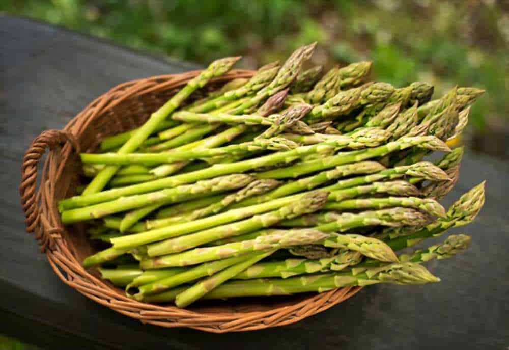 Asparagus-4