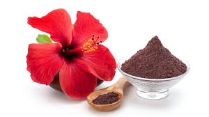 What do hibiscus do for your body?