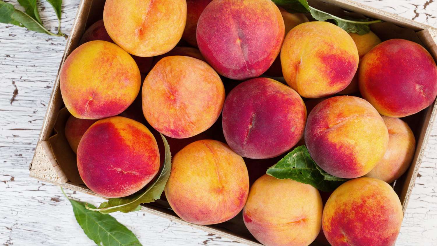 What to do with lots of ripe peaches?