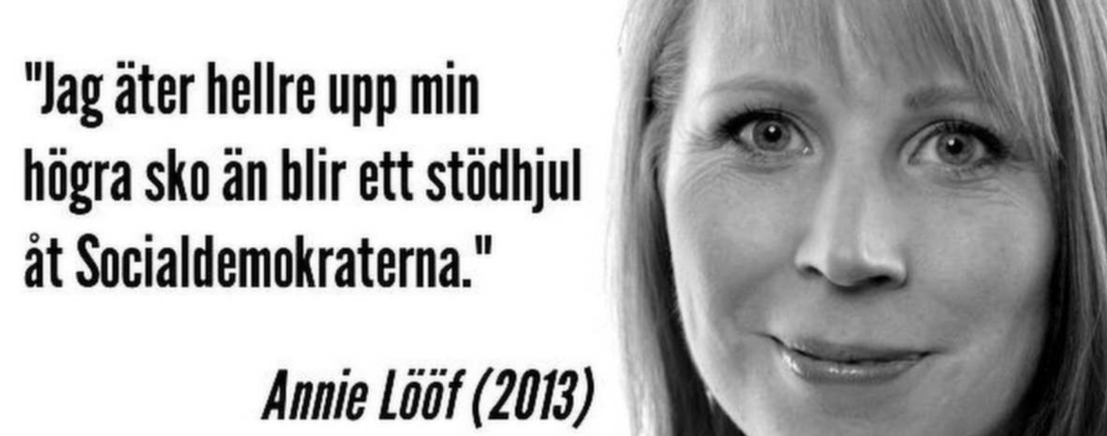 Jag Ater Hellre Upp Min Hogra Sko An Blir Ett Stodhjul At Socialdemokraterna Och Andra Saker Som Missforstatts Kring Den Nya Regeringen