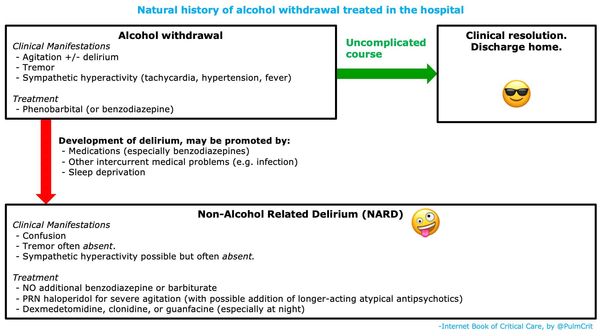 Alcohol Withdrawal Emcrit Project