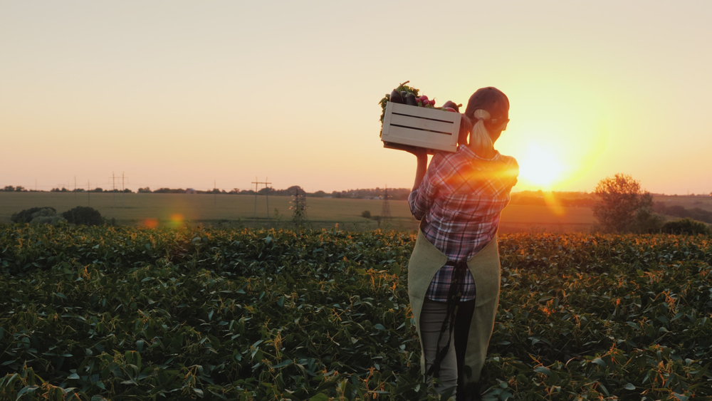 El Programa de Asistencia Financiera Debido a Discriminación a trabajadores agrícolas ofrece indemnizaciones por hasta US 500K