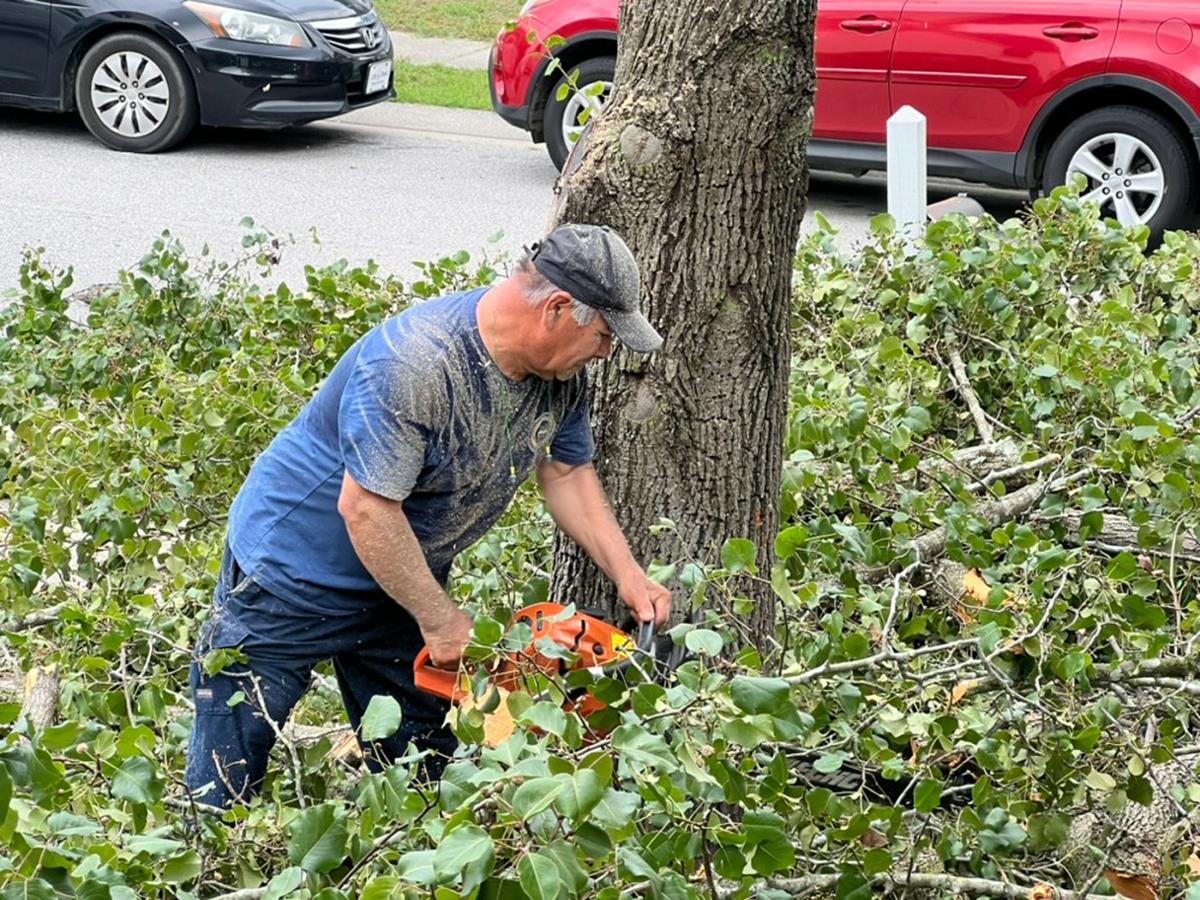 inmigrante trabajando como jardinero en Carolina del Norte