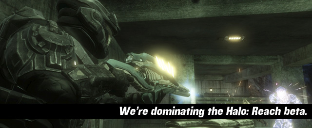 Halo Reach Beta