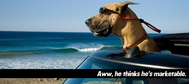 Marmaduke