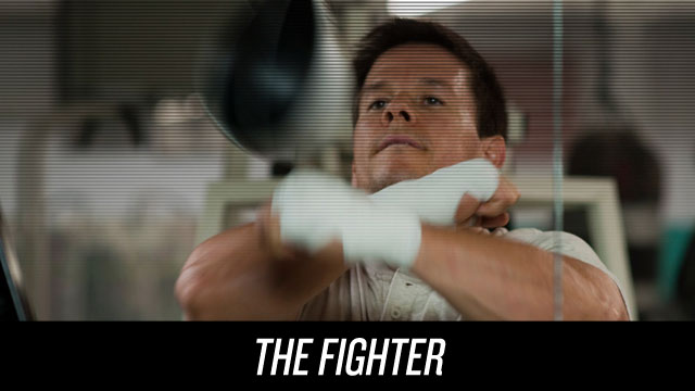 The Fighter