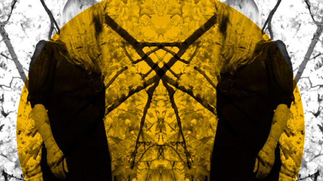 Austra : Feel It Break