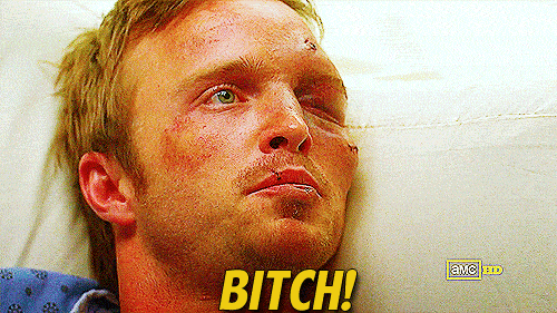 jesse pinkman bitch