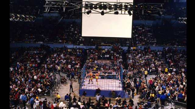Wrestling Themes 