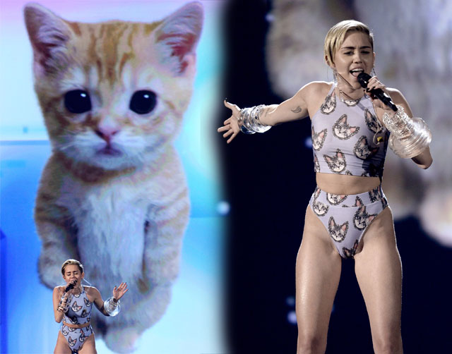 miley cyrus amas 2013 kitty cat