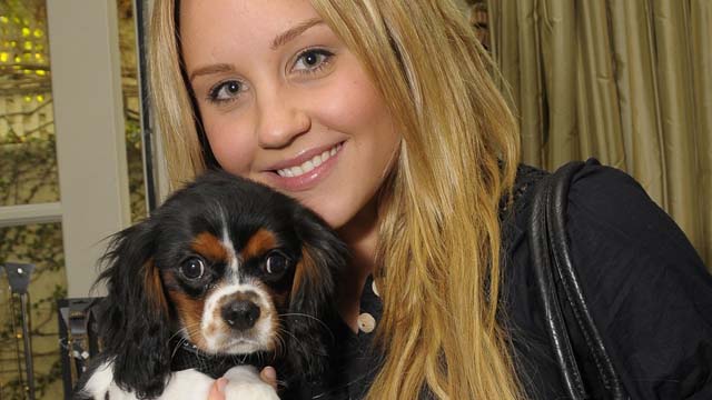 Amanda Bynes DUI