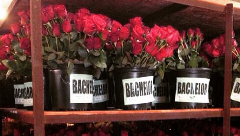 Ben Higgins, Ben Higgins The Bachelor, The Bachelor 2016, Who Is The Next Bachelor, Who Is The New Bachelor, Is Ben Higgins The Next Bachelor, Bachelor 2016 Spoilers
