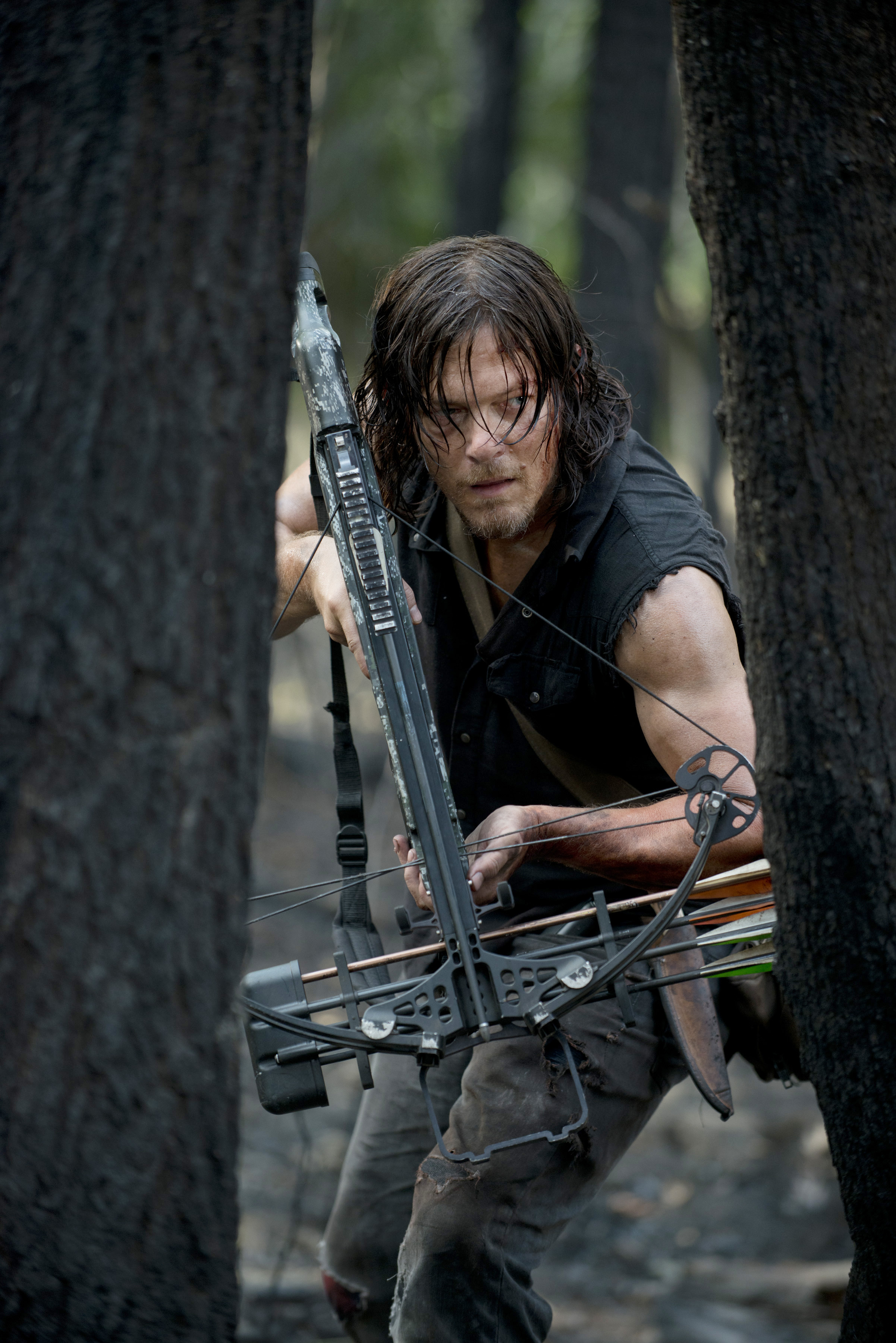 Daryl TWD
