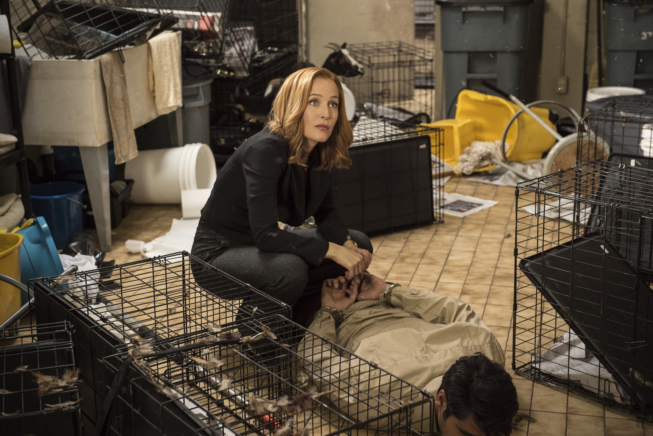 The X-Files Premiere 2016, X Files Premiere Recap 2016, The X Files Season 10 Premiere, The X Files Spoilers 2016, The X-Files Premiere Tonight