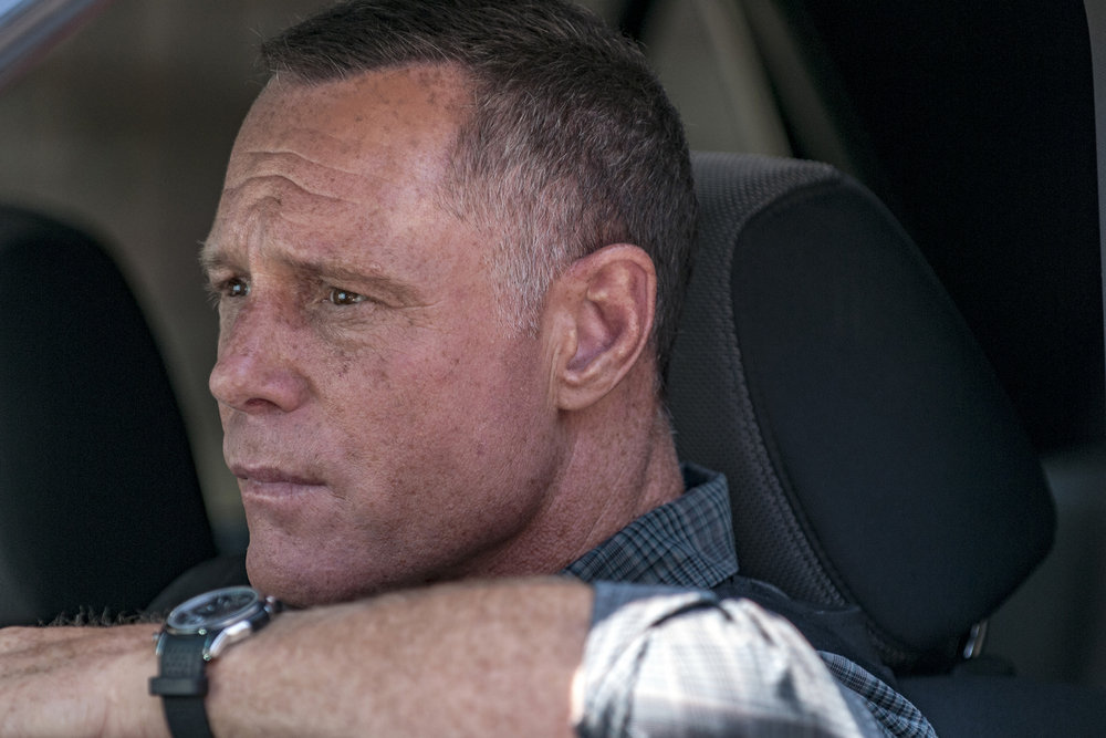Jason Beghe, Hank Voight, Chicago PD, Chicago PD cast