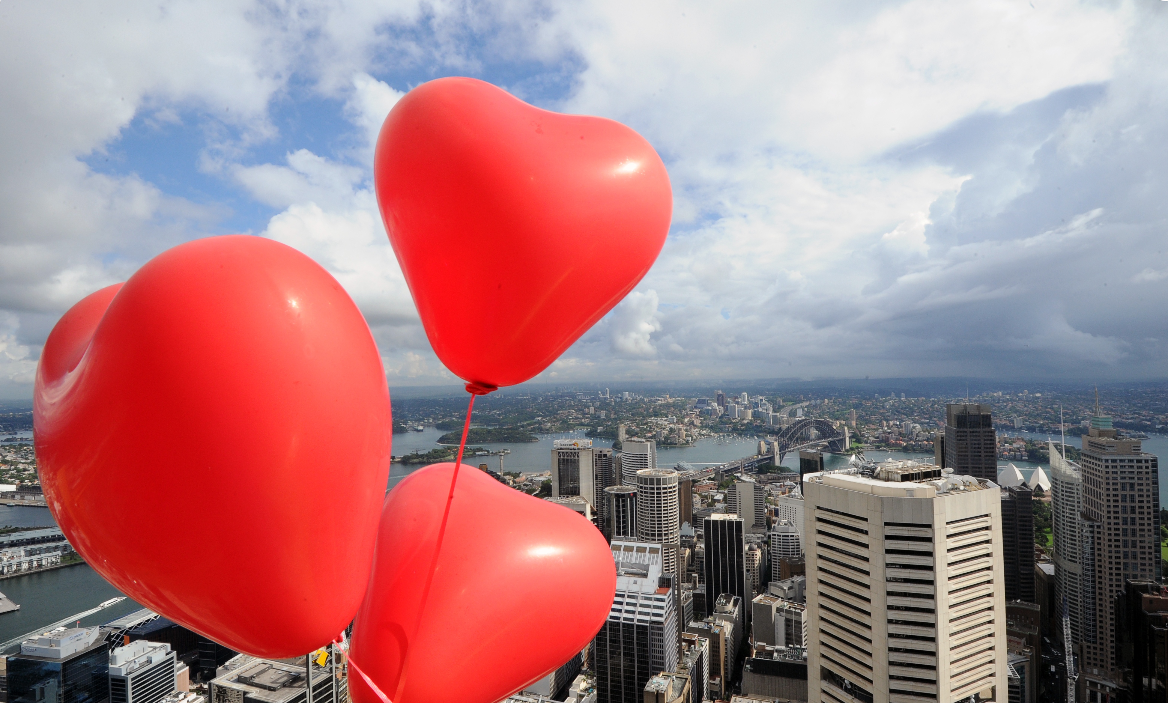 Valentines Day Quotes For Wife, Valentines Day Quotes For Husband, Valentine's Day, Valentine's Day Quotes, Valentine's Day Quotes For Cards, Valentines Day, Valentines Day Quotes, Valentines Day Cards, Valentines Day Ideas For Her, Valentines Day Quotes For Her, Valentines Day Quotes For Friends, Valentines Day Quotes For Husbands