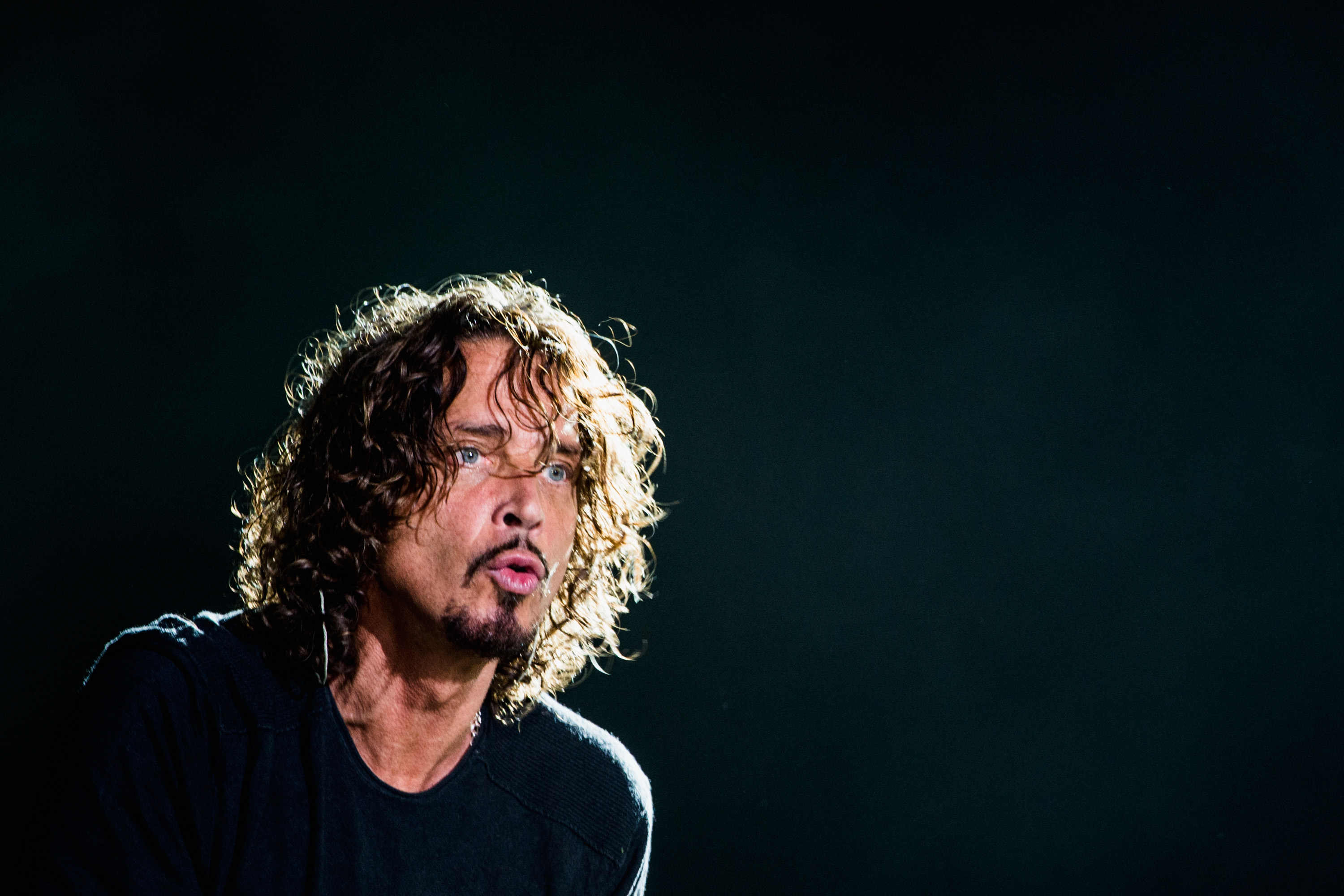 Chris Cornell, Soundgarden, Temple of the Dog, Audioslave