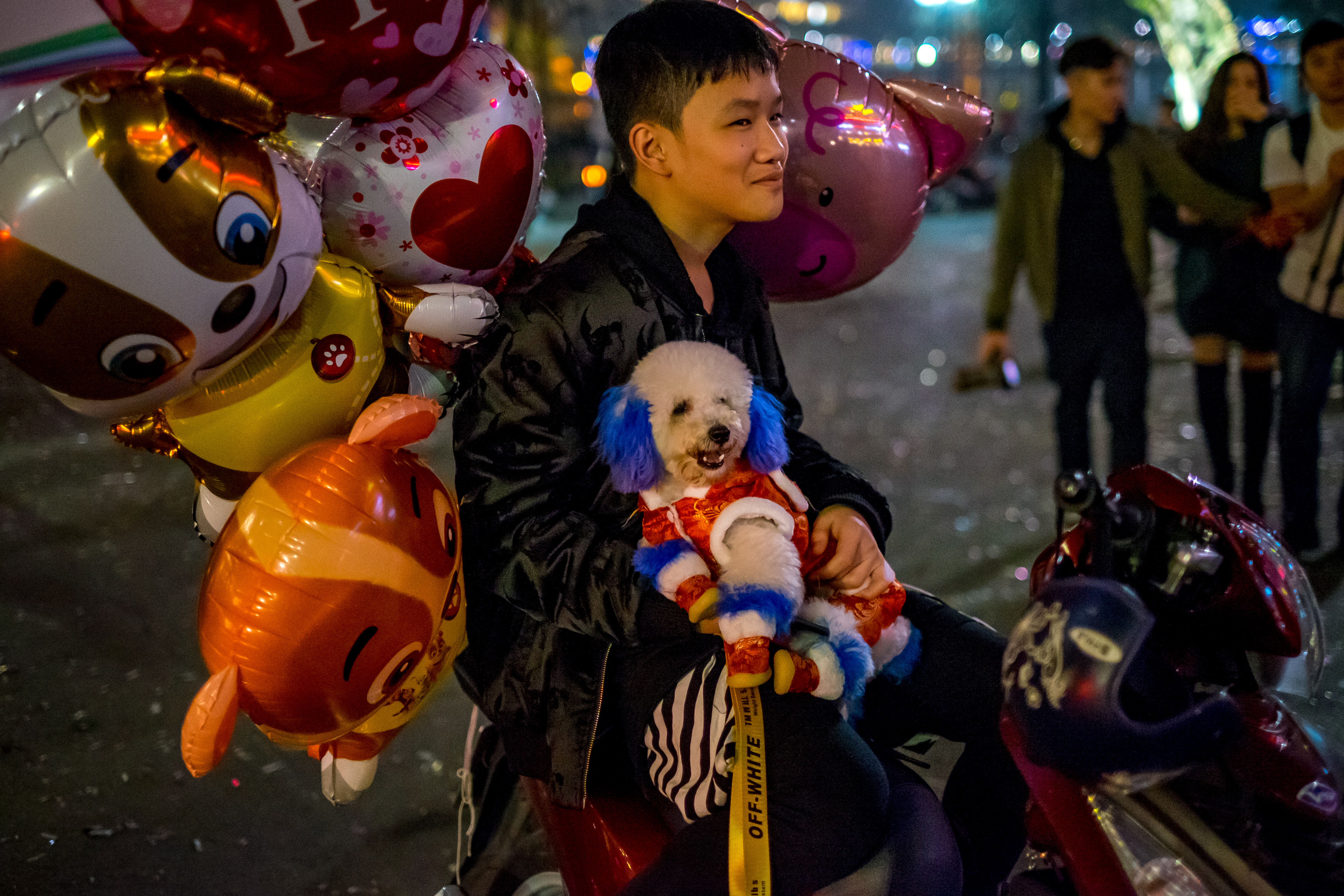 Chinese New Year Dog