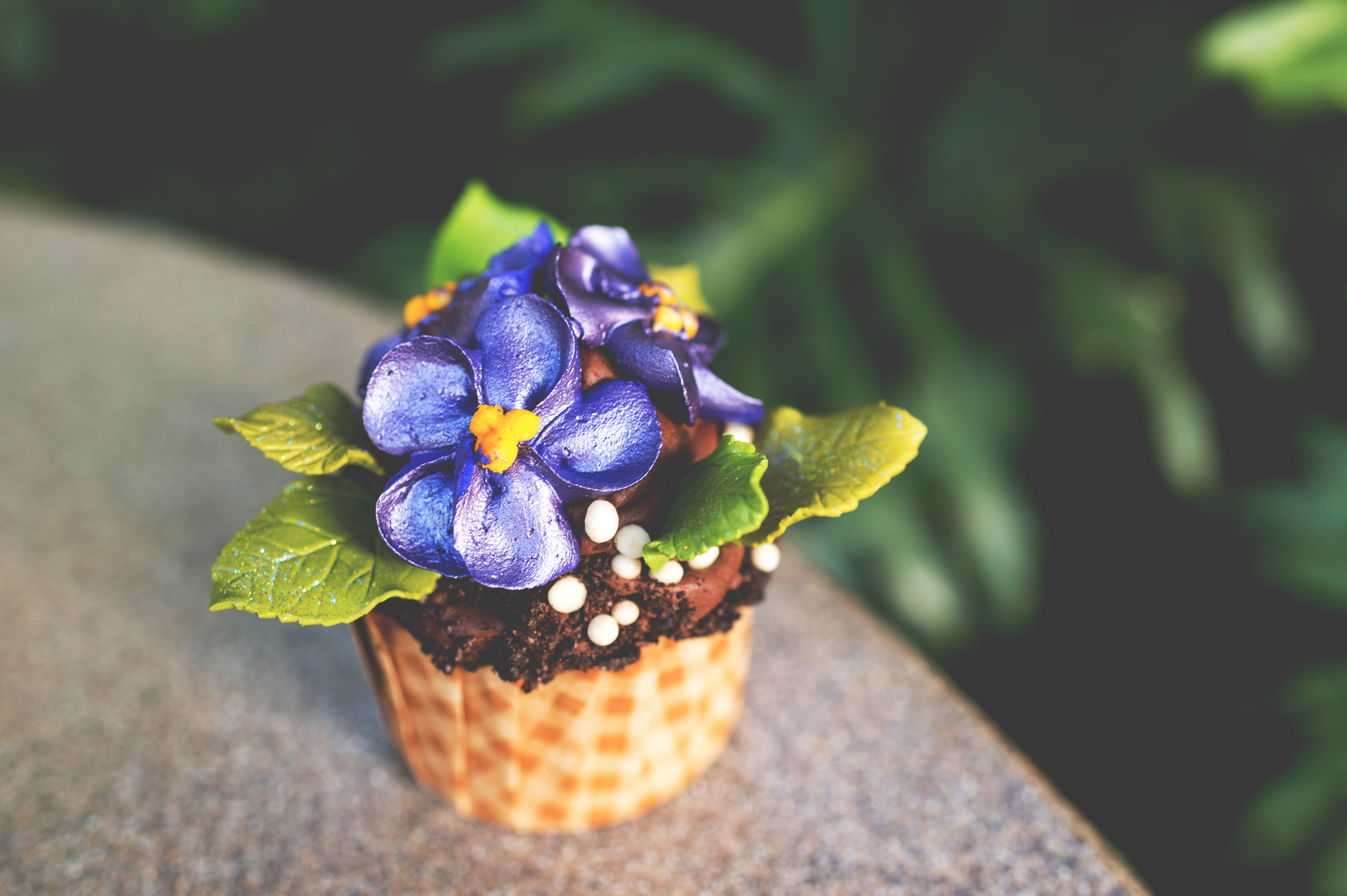 Potion Purple African Violet cupcake