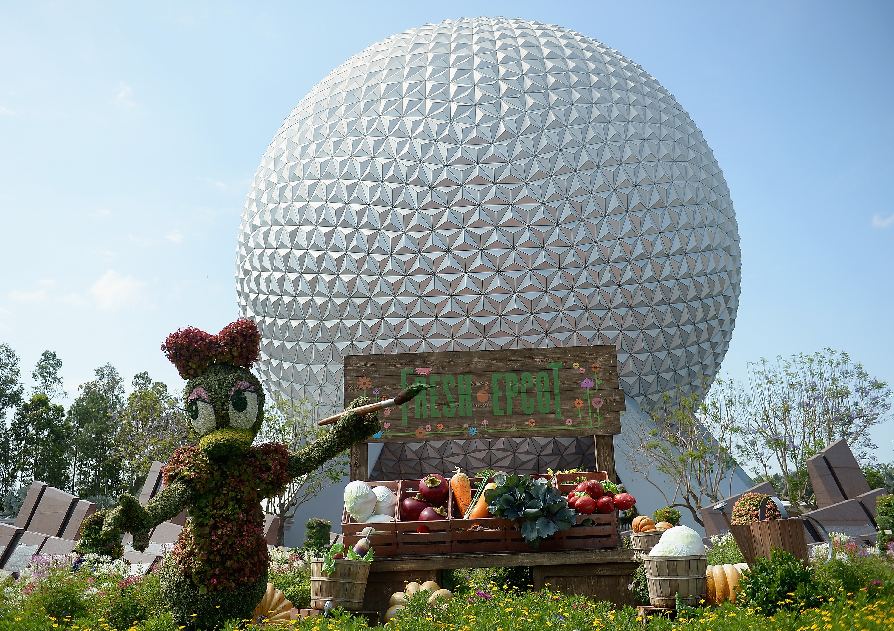 Disney World