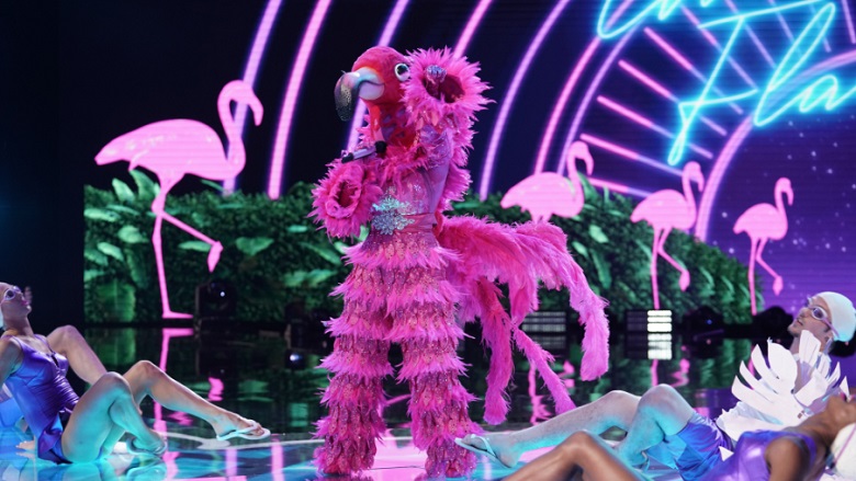 Flamingo Masked Singer