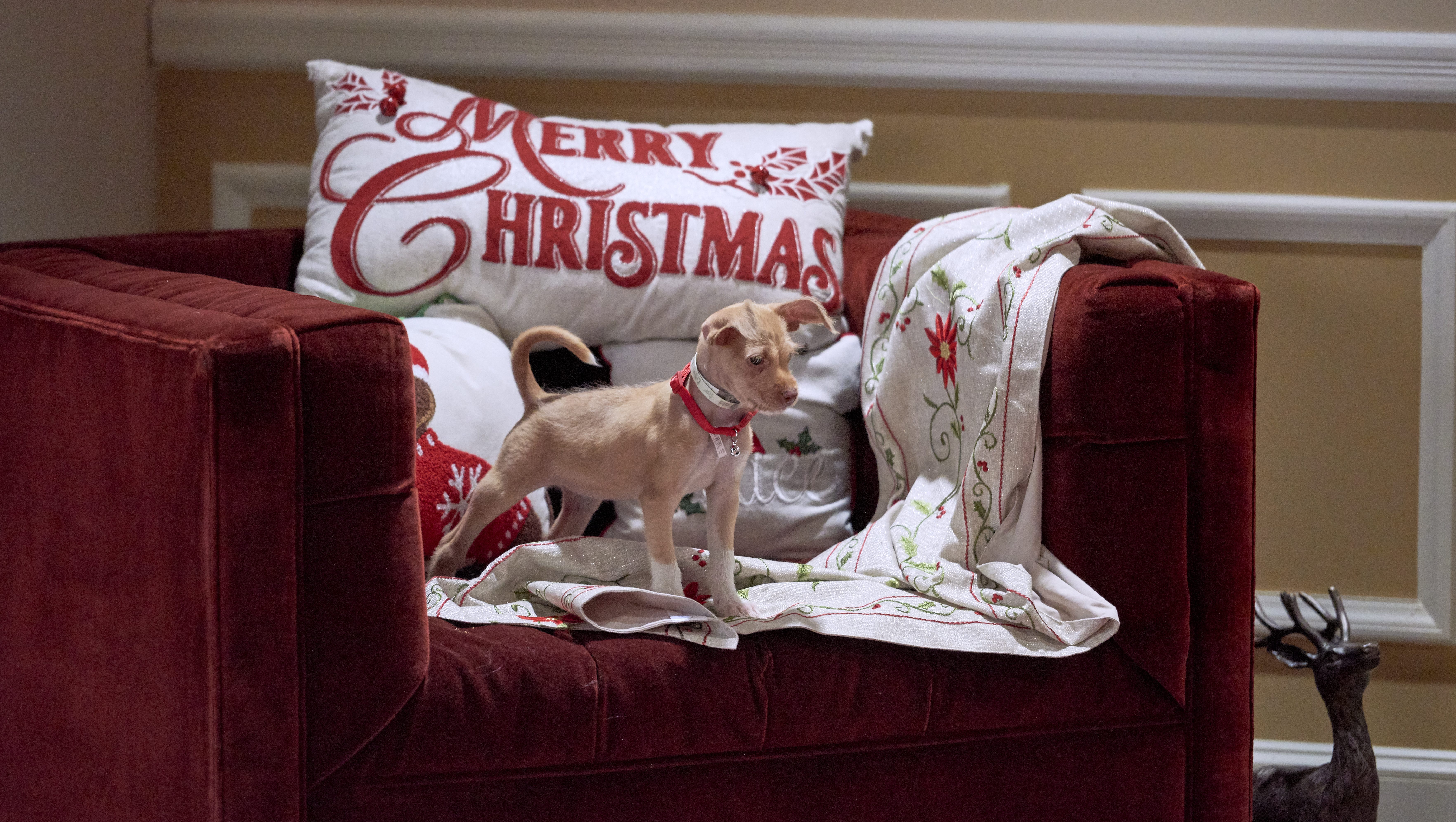 Hallmark 2020 Christmas Schedule
