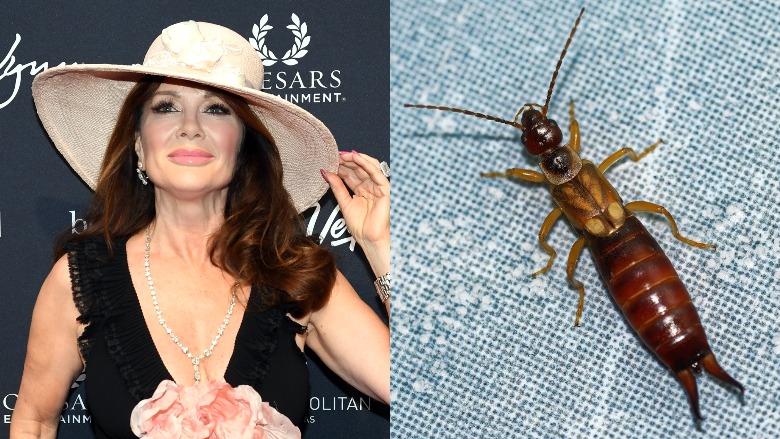 Lisa Vanderpump wearing a hat.