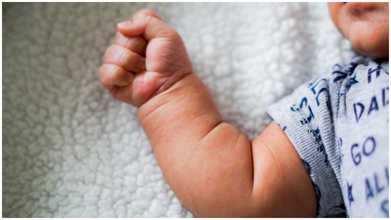 file baby