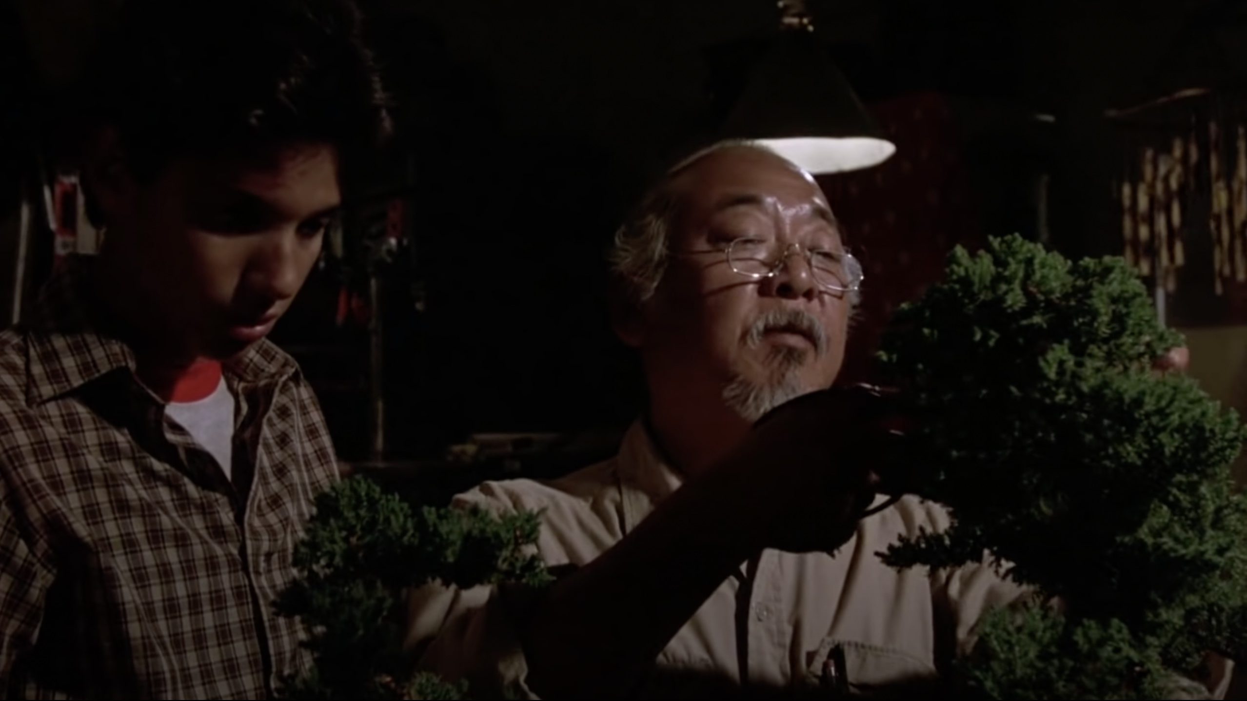 Daniel LaRusso Mr. Miyagi in Karate Kid