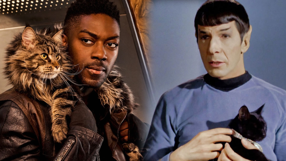 Cats on Star Trek