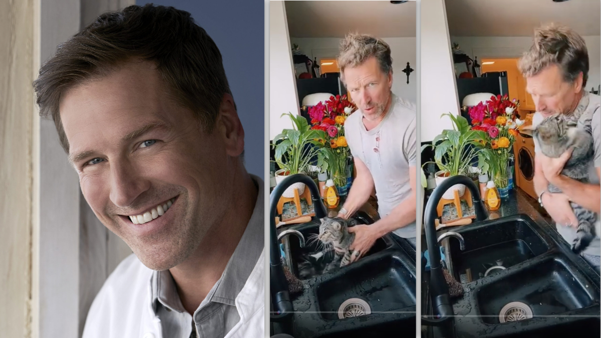 Paul Greene bathing his cats.