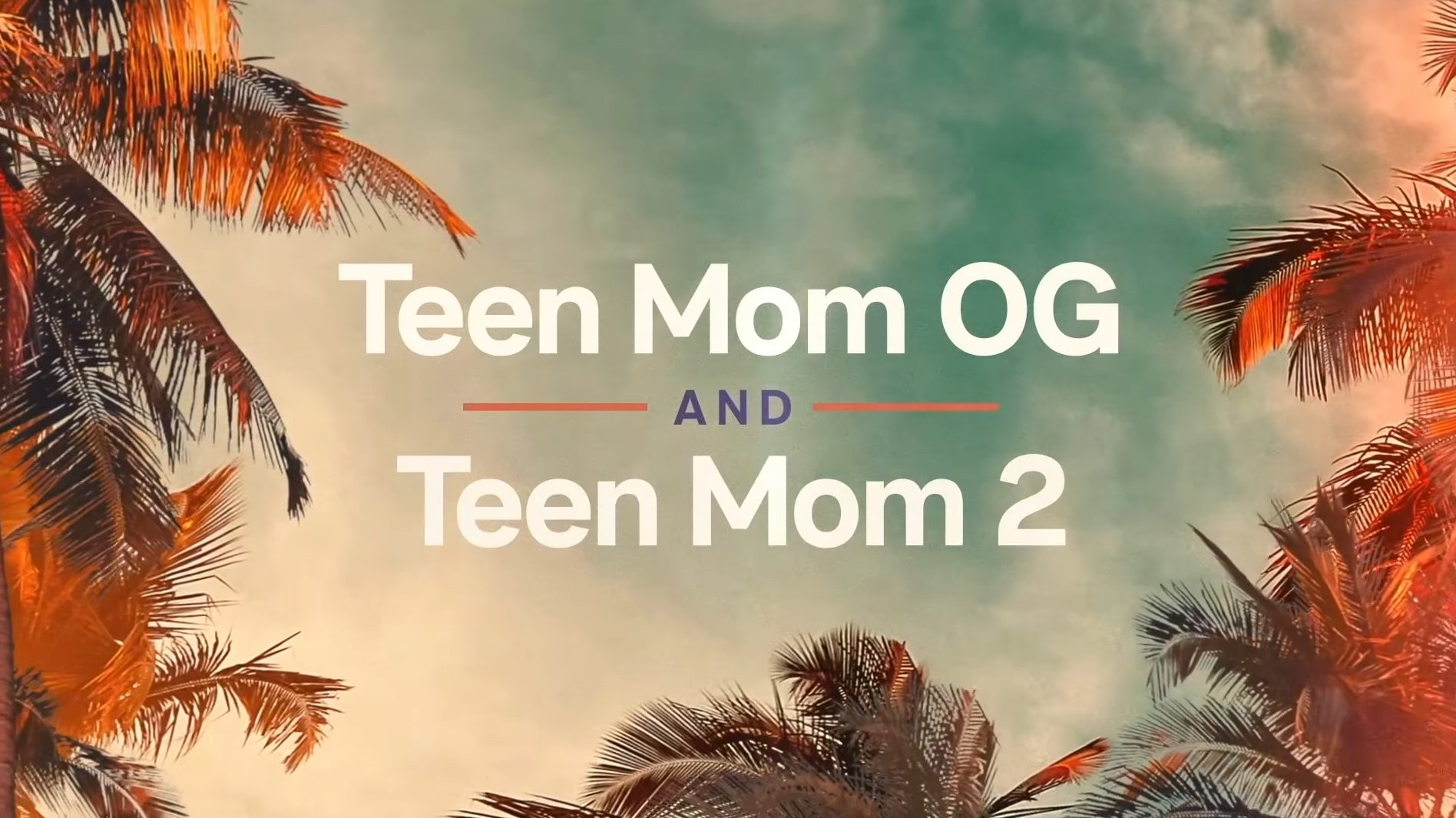"Teen Mom: Next Chapter"