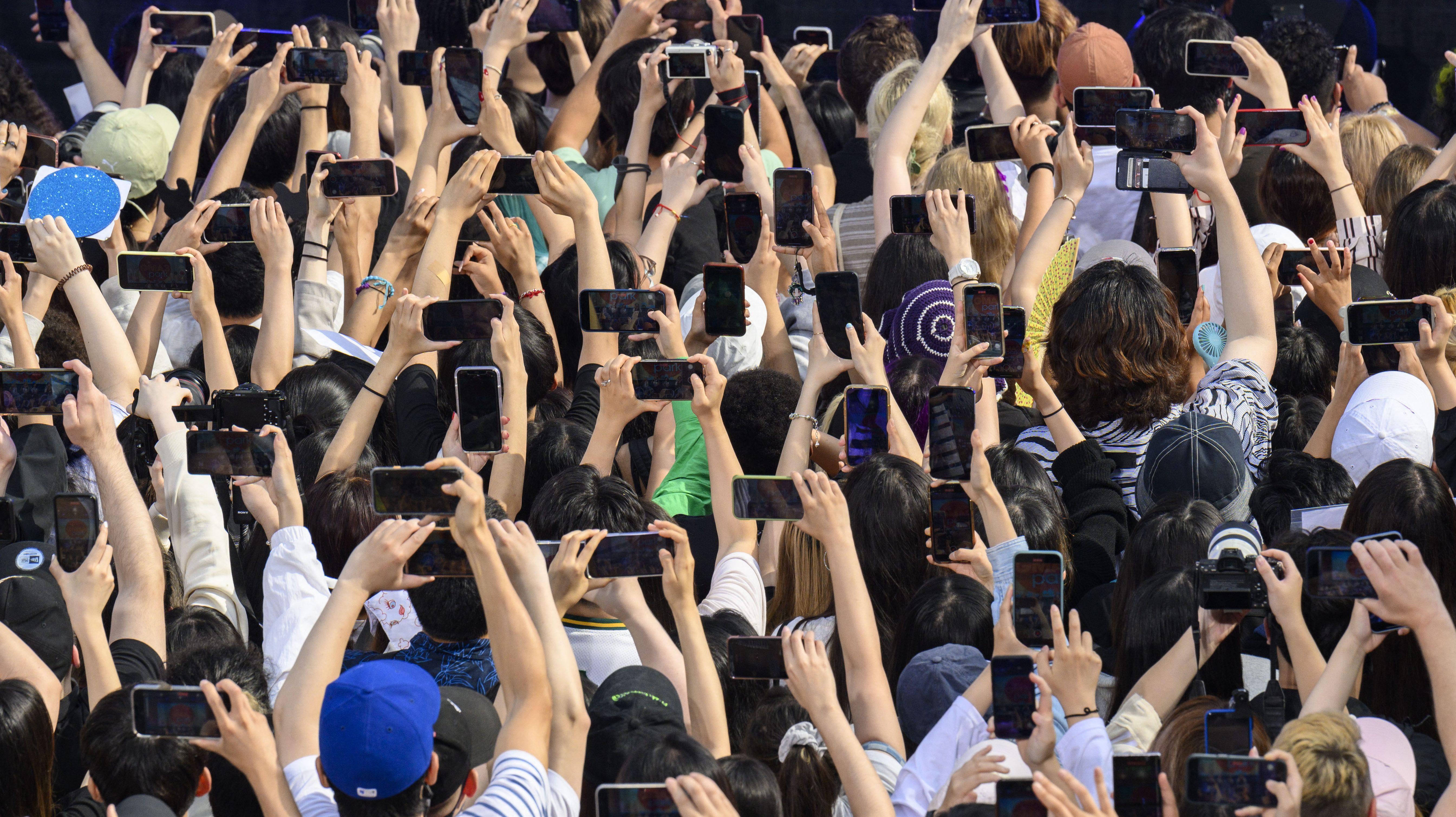 Concert crowd