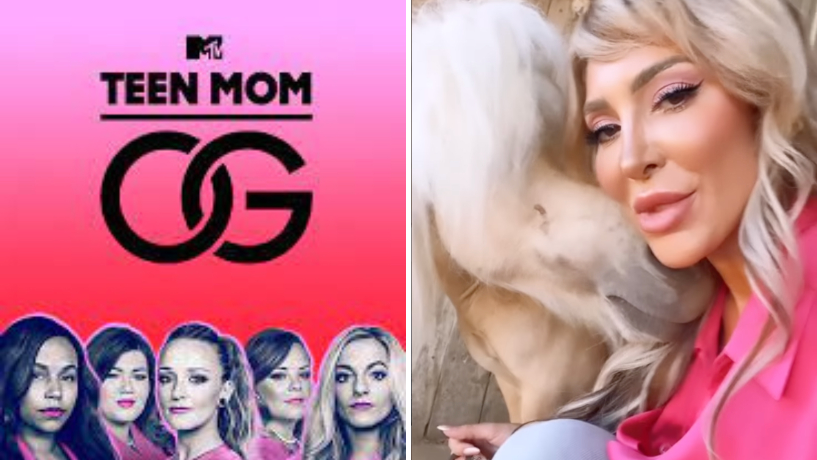 Teen Mom Farrah Abraham