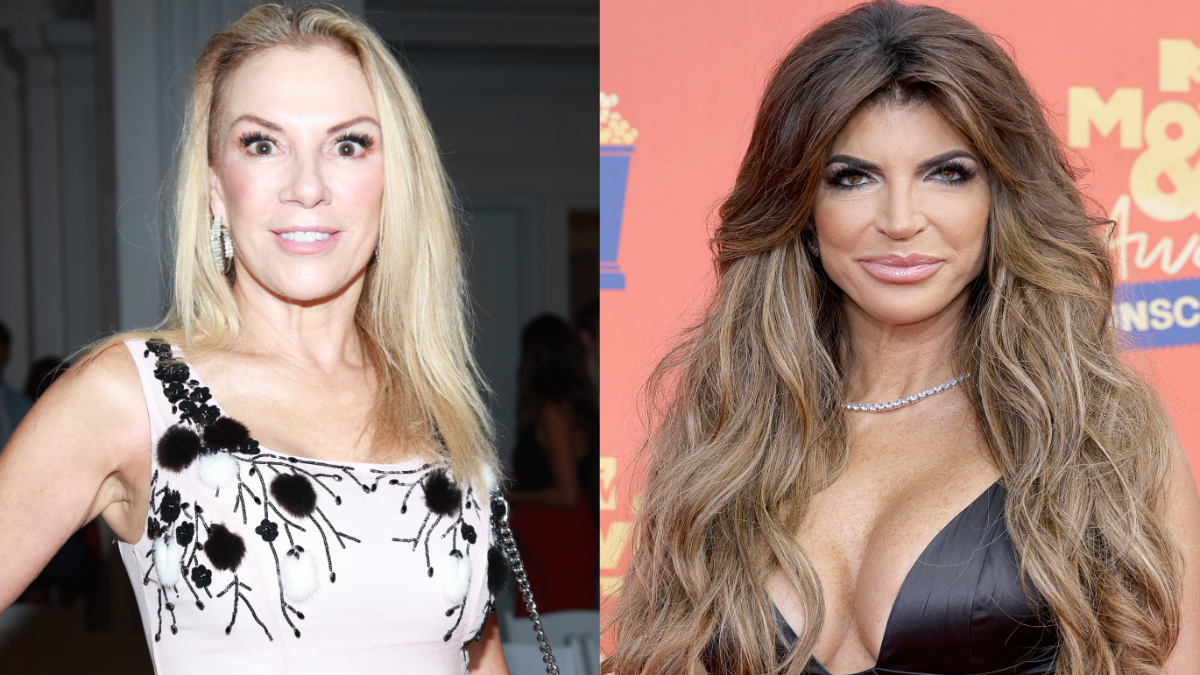 Ramona Singer and Teresa Giudice