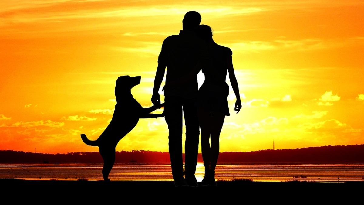 Couple with dog